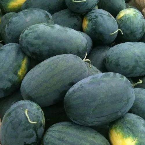 黑瓜吃料最新事件