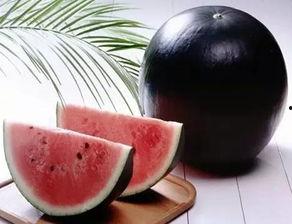 今日吃瓜网红黑料911反,揭秘背后真相与网络暴力